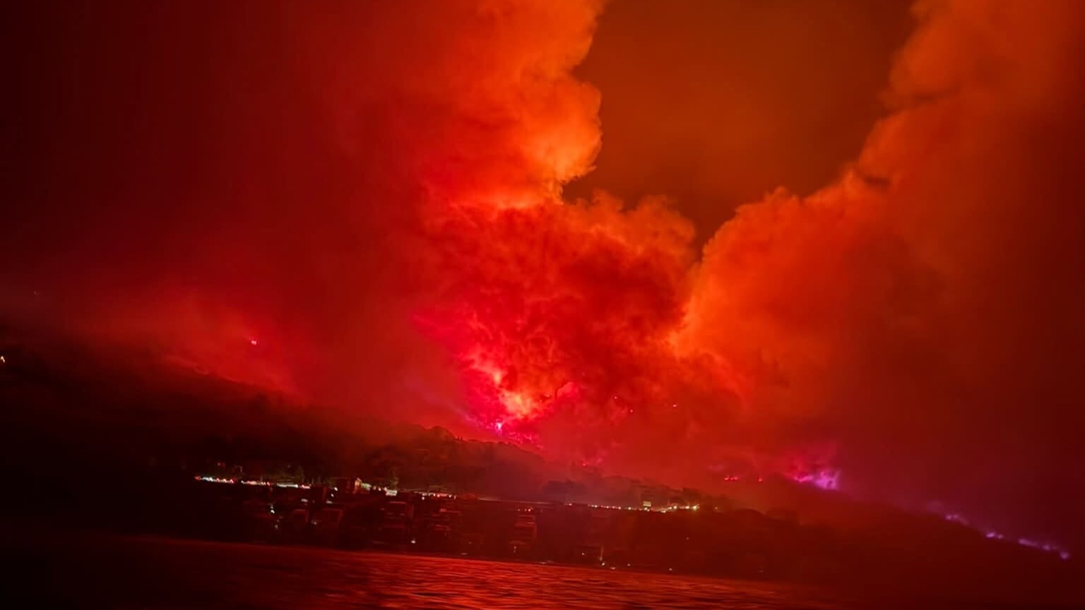 The Mimica family from Omiš was supposed to start harvesting on Friday, but their vineyards were destroyed by fire