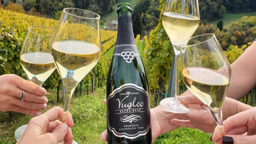 Vuglec Extra Brut pairs well with white saltwater fish carpaccio raw shellfish and a wallet: 15 euros is the price 