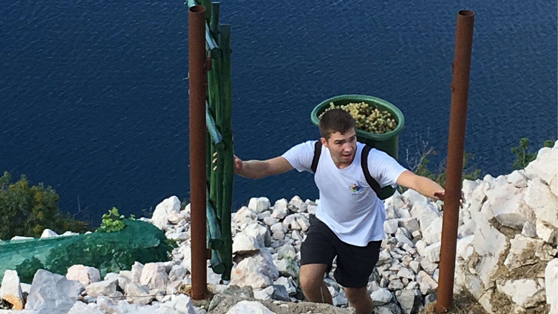 You think Dingač is steep? Come to the vineyard in Bakar Bay...