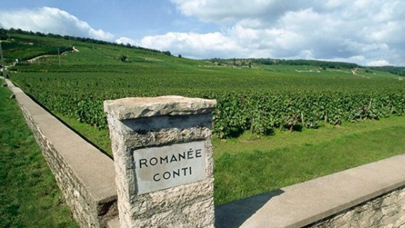 After awarding restaurants with the stars, Michelin is honourig wineries with grapes! Burgundy is first, when will our turn come?