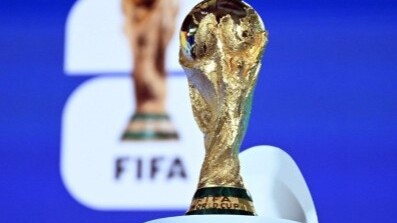 Argentina vs. England! Still Malbec wines vs. sparklings in the second semi-final of the World Cup