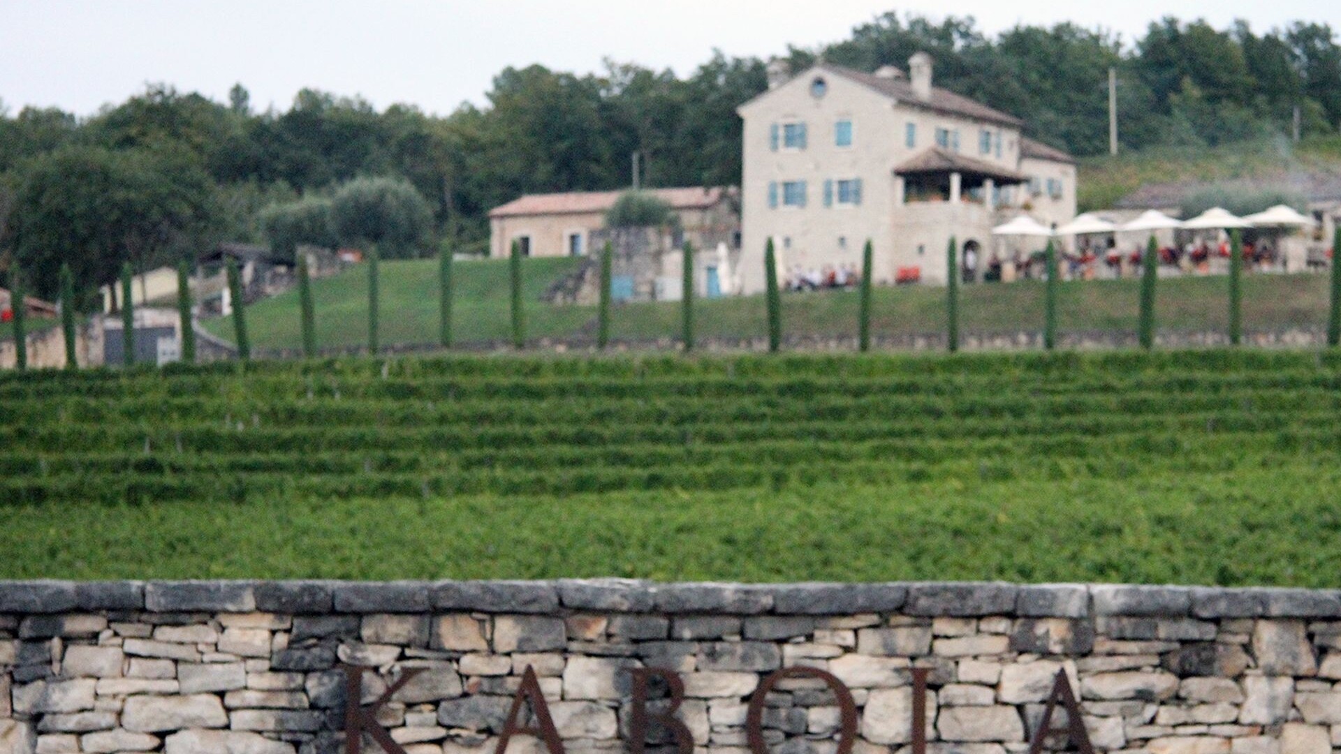 Kabola Malvazija Amfora has been tasted in the final of the World Sommelier Championship