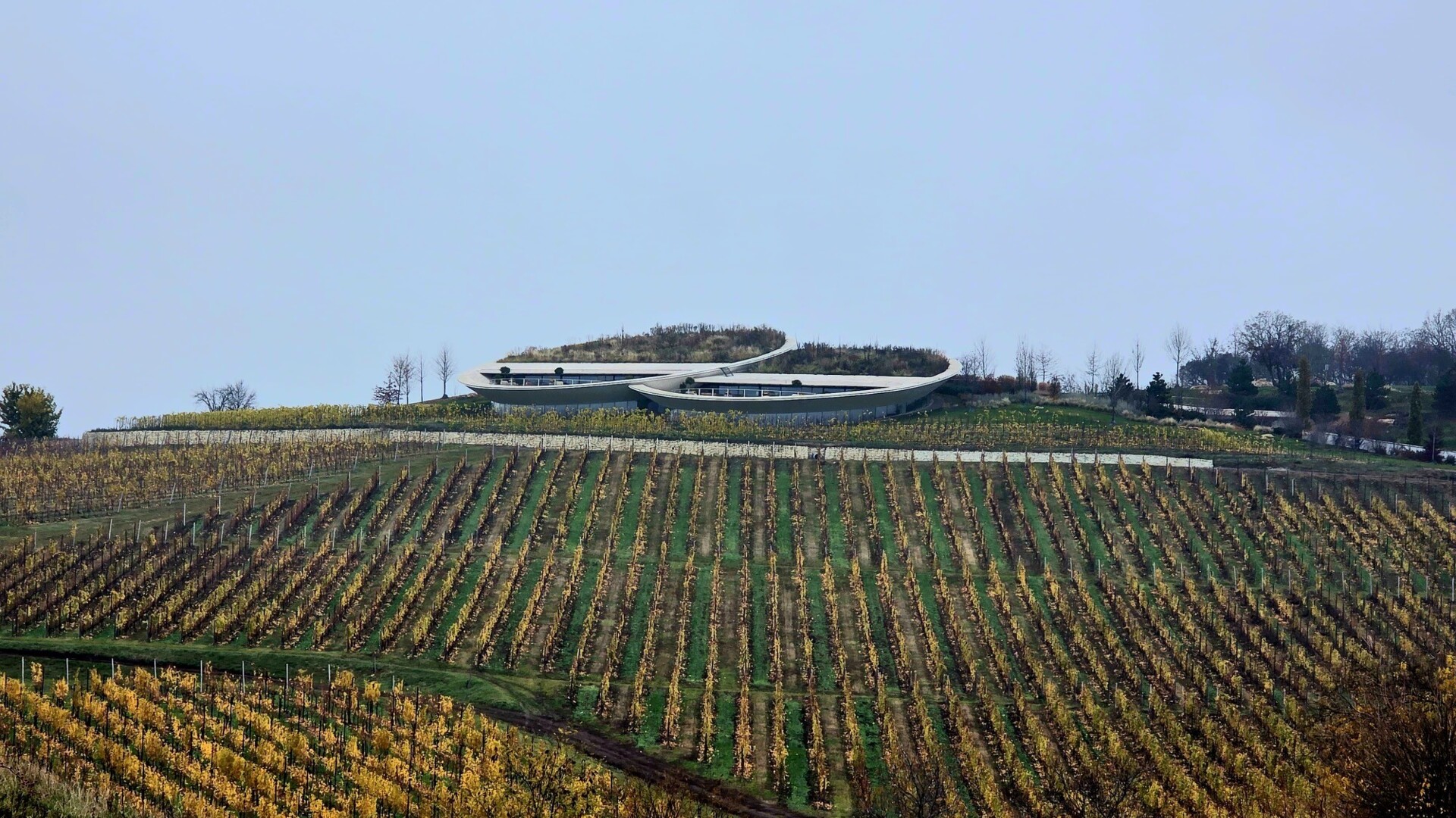 The battle for the soul of Tokaj is on! The famous Hungarian region is in-between money, terroir and authenticity