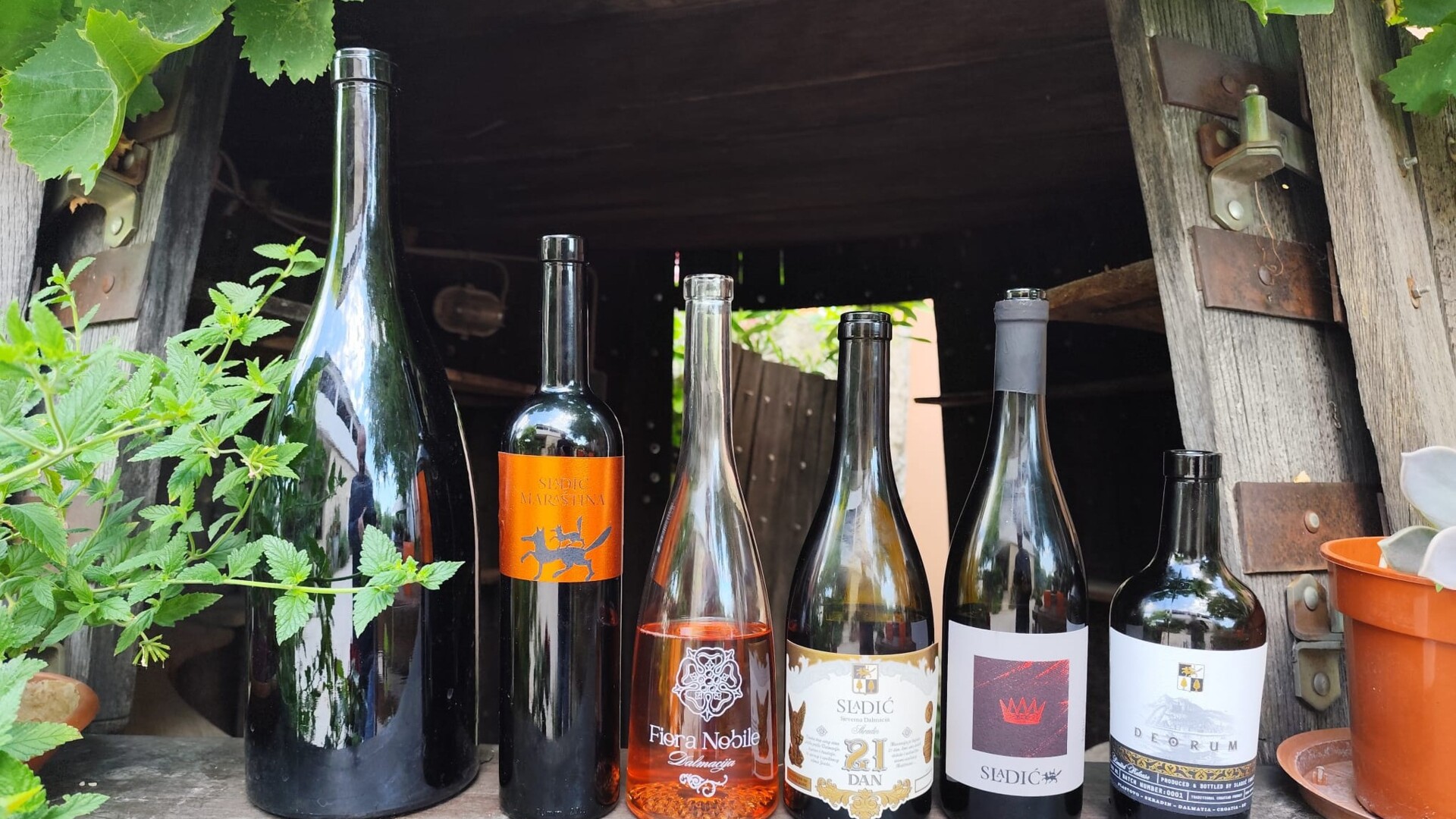 You are near Skradin? In Plastovo Sladić vina offers poker of Maraština wines, Plavina rosé as a wild card, and refreshing Babić