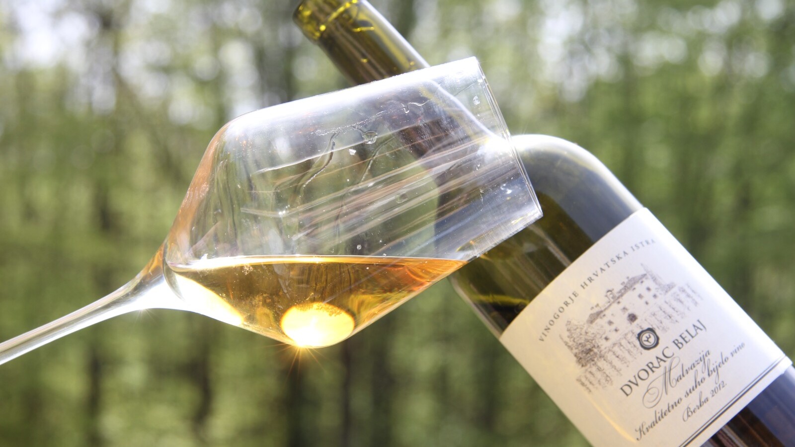 Dvorac Belaj’s 2012 Malvazija leaves you wanting more! It is 14 and it is mature, yet not an old one wine