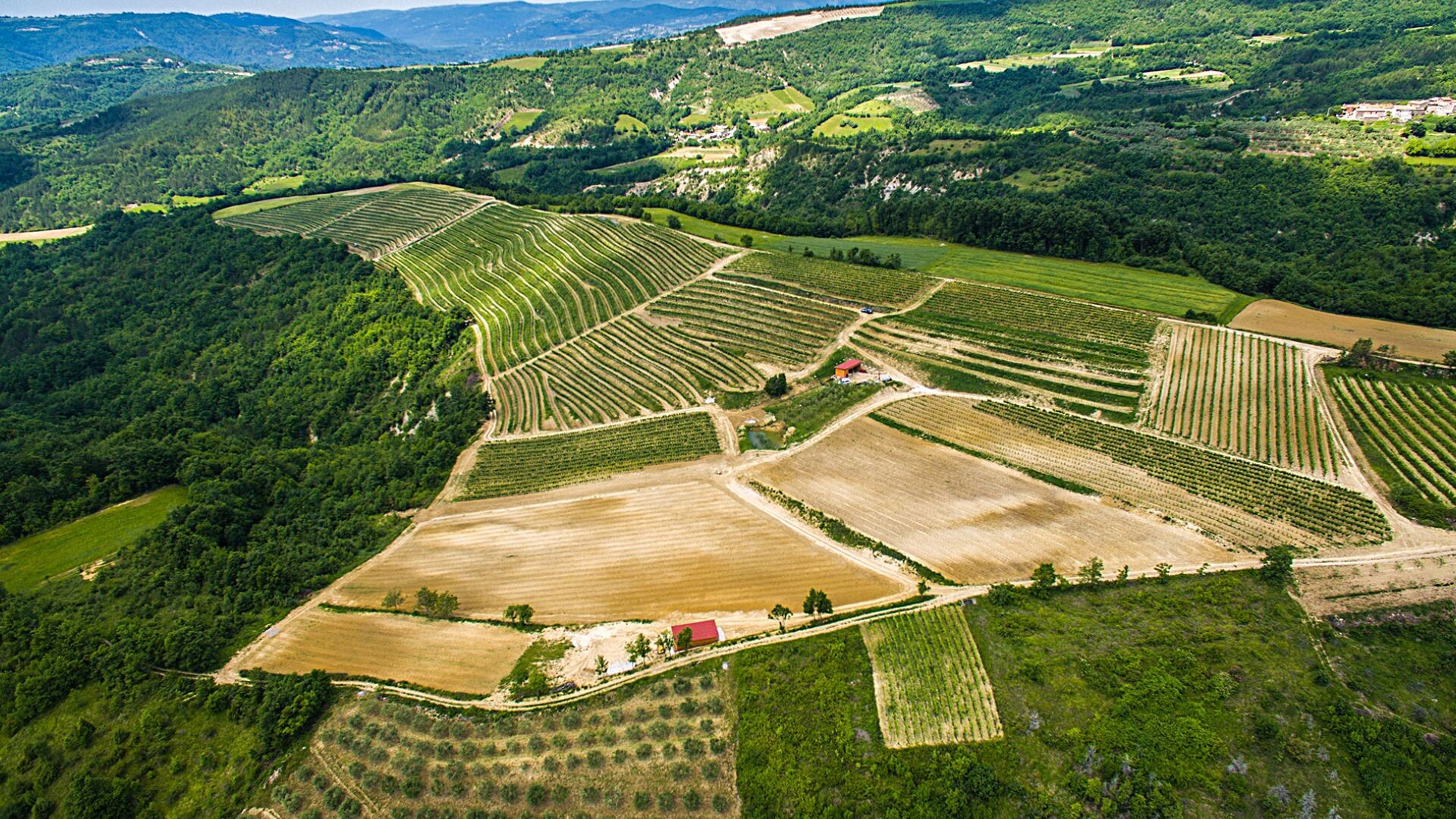 Matošević