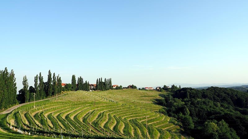 Slovenian Jerusalem offers local dishes, fine wines and cheap 'Viagra'. It is right next to the border, you don't even need a vignette